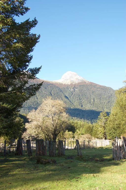 Casa Campo Carretera Austral بويرتو سيزنز المظهر الخارجي الصورة