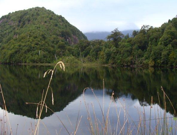 Casa Campo Carretera Austral بويرتو سيزنز المظهر الخارجي الصورة